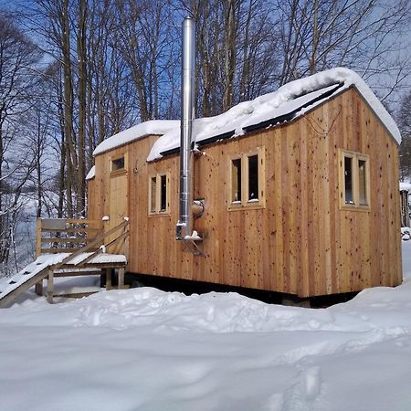 Celorocni Glamping V Pohodlnem Domecku Villa Vyprachtice Exterior photo