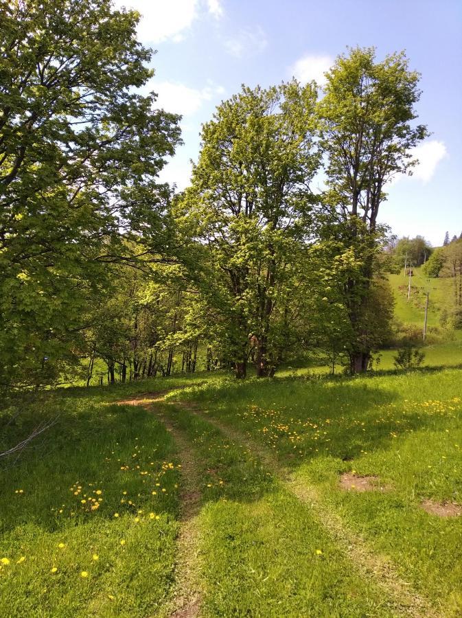 Celorocni Glamping V Pohodlnem Domecku Villa Vyprachtice Exterior photo